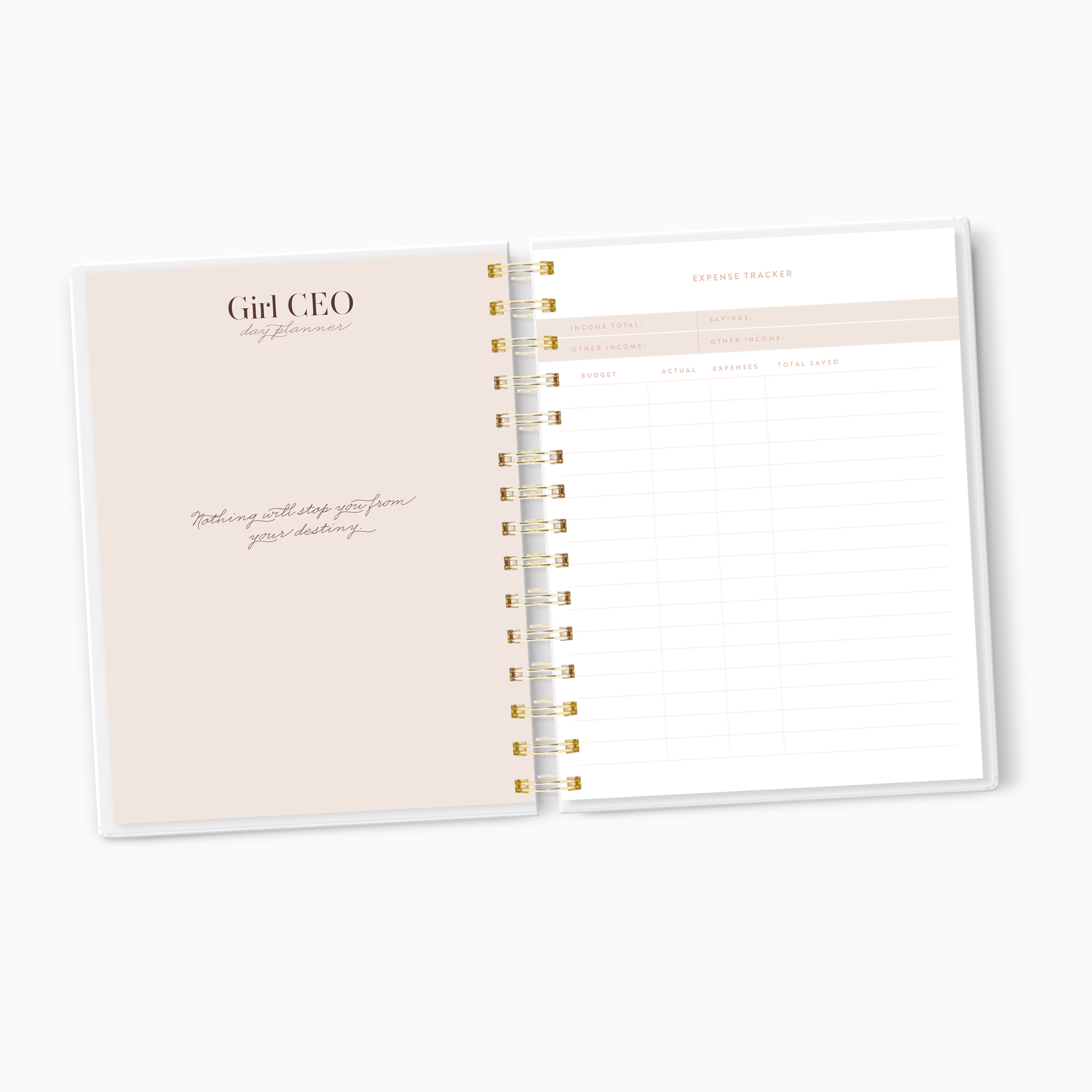 Dateless She’s the CEO Professional Daily Planner - Pastel Pink