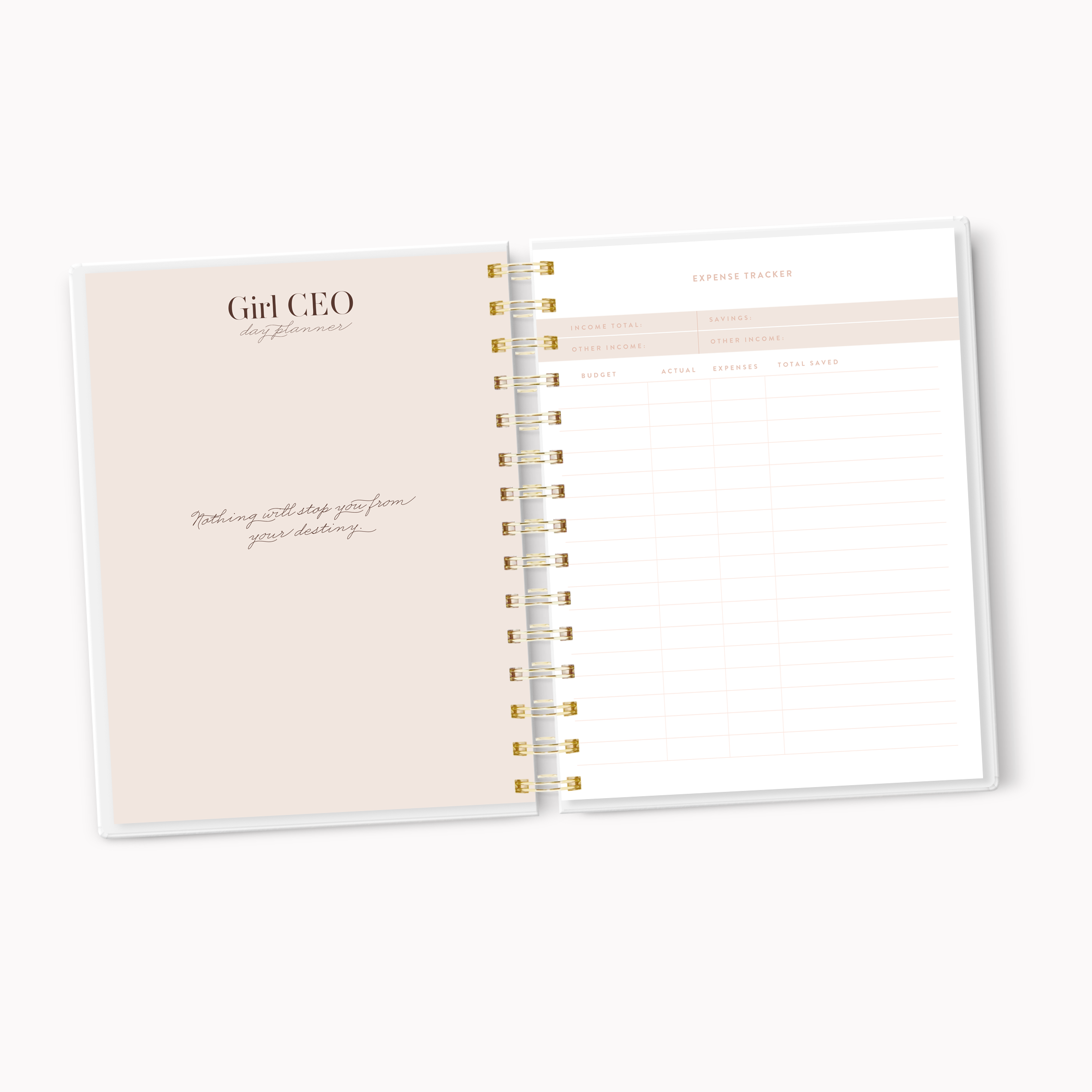 Dateless Marble Girl CEO Professional Daily Planner- Pink Marble