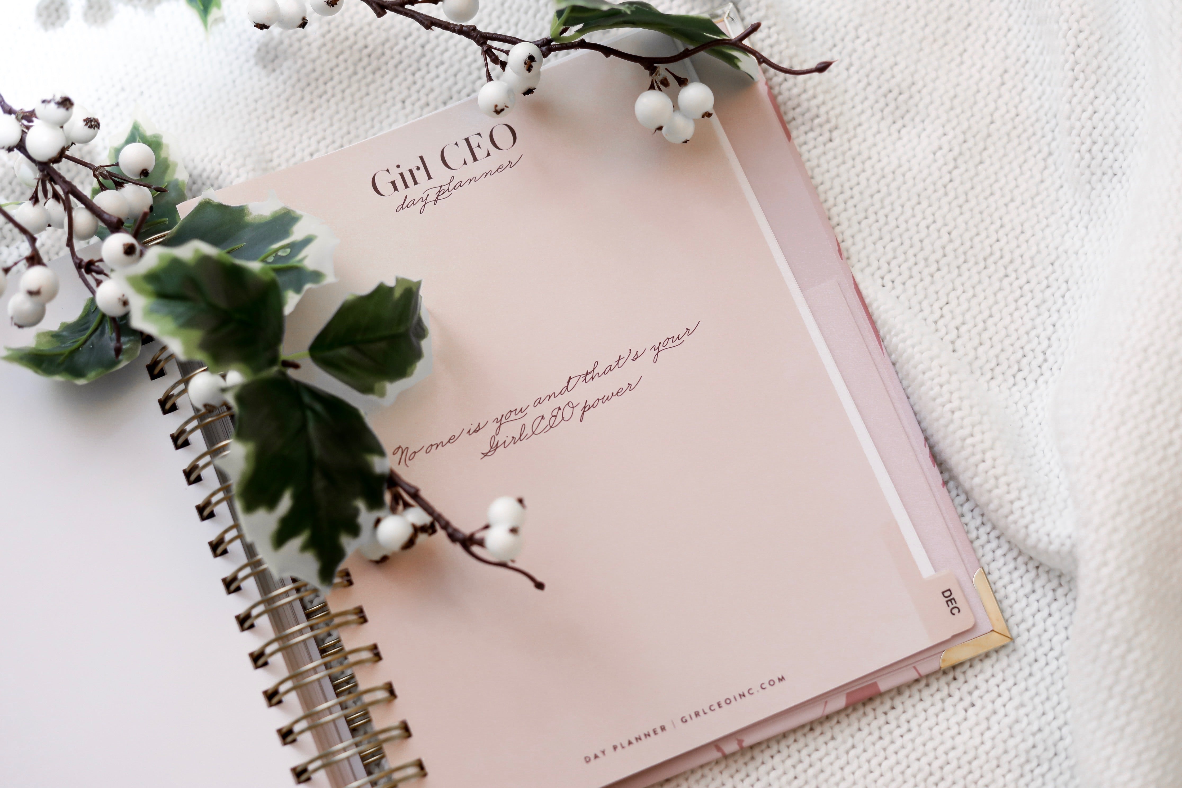 Dateless Marble Girl CEO Professional Daily Planner- Pink Marble